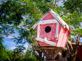 Fototapeta Krajobraz - Wooden bird house in the garden and tree