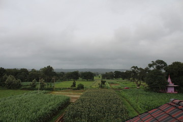 landscape in the spring