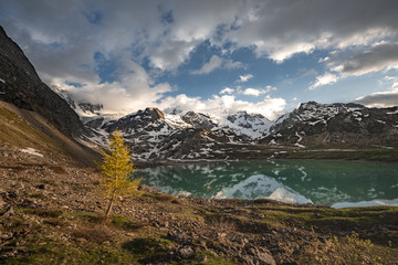 Wall Mural - glacier lake in switzerland in the alps during in the evening sky with clouds and warm lights and a lonely tree