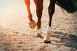 The feet of a black racehorse galloping across a sandy arena, its hooves kicking up sand and dust into the air.
