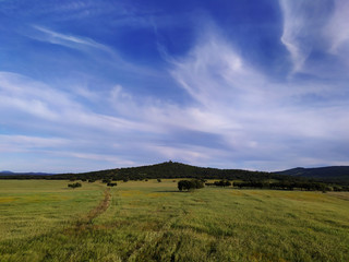 Green landscape with cirrus clouds