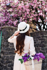 pregnant and flowers of sakura