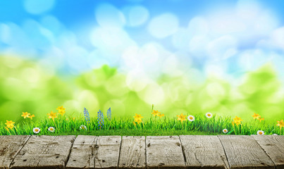 Wall Mural - old grunge wooden floor and spring grass background