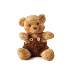 Wall Mural - brown teddy bear sitting on a white background