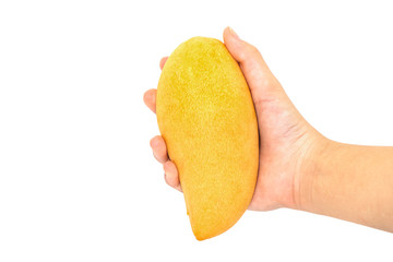 Wall Mural - Ripe mango isolated on the white background, Girl holding tasty organic yellow delicious Mango on white background, with Clipping path.