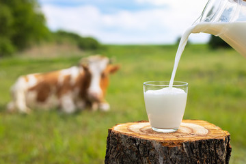 milk pouring into glass