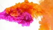 Colorful orange and purple ink paint colliding and mixing in water on white background. Slow motion