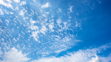 Wall Mural - Blue sky with white clouds as a background