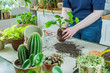 Urban Jungle, Zimmerpflanzen umtopfen oder eintopfen - Interieurtrend mit Topfpflanzen