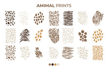 Tiger Prints Patterns, Safari Animals Skin Of Leopard, Jaguar And Zebra, Vector Texture Decoration Elements. Safari Animals Print Patterns, Panther Cheetah And Giraffe Fur Hair Leather Isolated Set