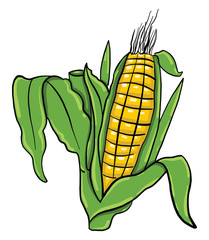 Wall Mural - Corn drawing , illustration, vector on white background