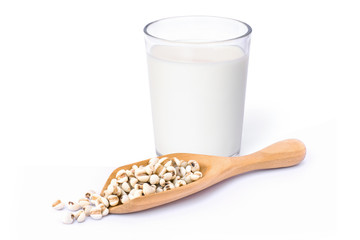 Sticker - Closeup glass of fresh millet milk and white Job's tears ( Adlay millet or pearl millet ) isolated on white background. Healthy drinks conceptual. 