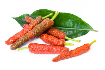 Wall Mural - Closeup pile of fresh organic red Idian long pepper ( Piper Longum ,Piper retrofractum ) with green leaf isolated on white background. Herbs medicine plant concept.