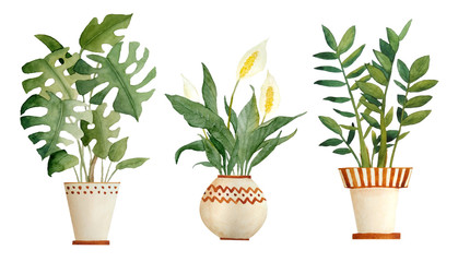 Watercolor hand drawn illustration elements of monstera peace lily Spathiphyllum zz plant Zamioculcas. Pot beige terra cotta clay potted for urban jungle nature lovers indoor houseplants gardening.