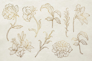 Wall Mural - Gold floral outline set vector