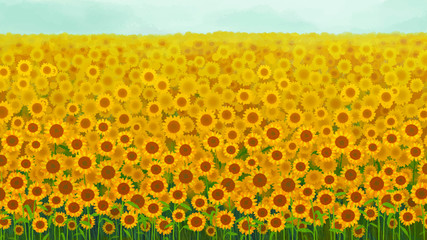 Wall Mural - Sunflower garden background vector