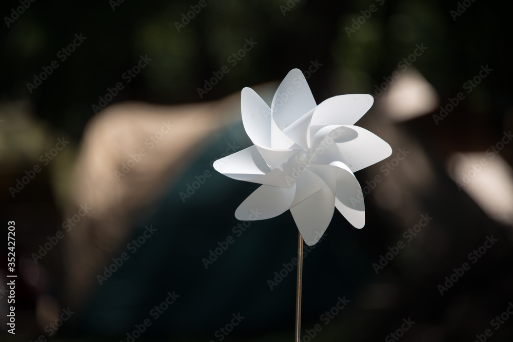 Close-up View Of White Flower - obrazy, fototapety, plakaty 
