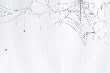 Wall Mural - Spider web white background template vector