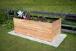Rectangular raised bed made of wood on granite stones with small plants in the garden