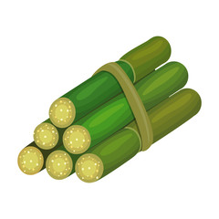 Wall Mural - Stem sugar cane vector icon.Cartoon vector icon isolated on white background stem sugar cane.