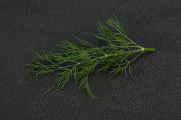 Fresh green dill herb branch