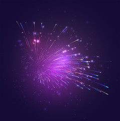 Wall Mural - multicolored vector fireworks, explosion of joy in the sky