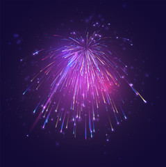 Wall Mural - multicolored vector fireworks, explosion of joy in the sky