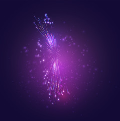 Wall Mural - multicolored vector fireworks, explosion of joy in the sky