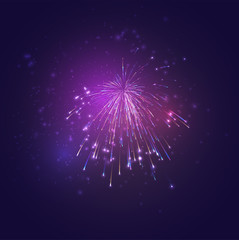 Wall Mural - multicolored vector fireworks, explosion of joy in the sky
