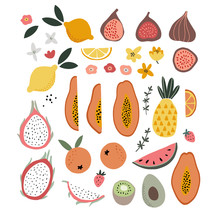 Set Of Abstract Hand Drawn Shapes, Flowers, Tropical Exotic Fruit And Abstract Shapes. Modern Artistic, Minimalist Design. Decorative Isolated Vector Illustrations. Papaya, Figs, Lemons, Dragon Fruit.
