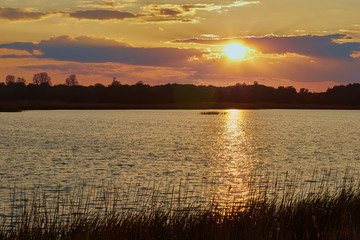 Beautiful sunset with blue sky trees and water in the foreground