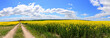 Spherical virtual reality concept VR AR. Full seamless panorama of 360 degrees clouds moving over a rape field on a sunny bright day.