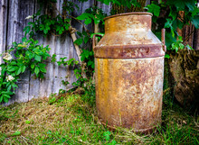 Old Milk Can