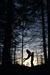 © anatoliy_gleb - From below view of silhouettes of loving couple posing in evening forest. Wild nature with amazing views, summer sunset, man holding woman while jumping and feeling happy. Nature, love concept.