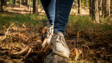 Closeup image of hikers feet walking on the pine tree log lying on the forest ground