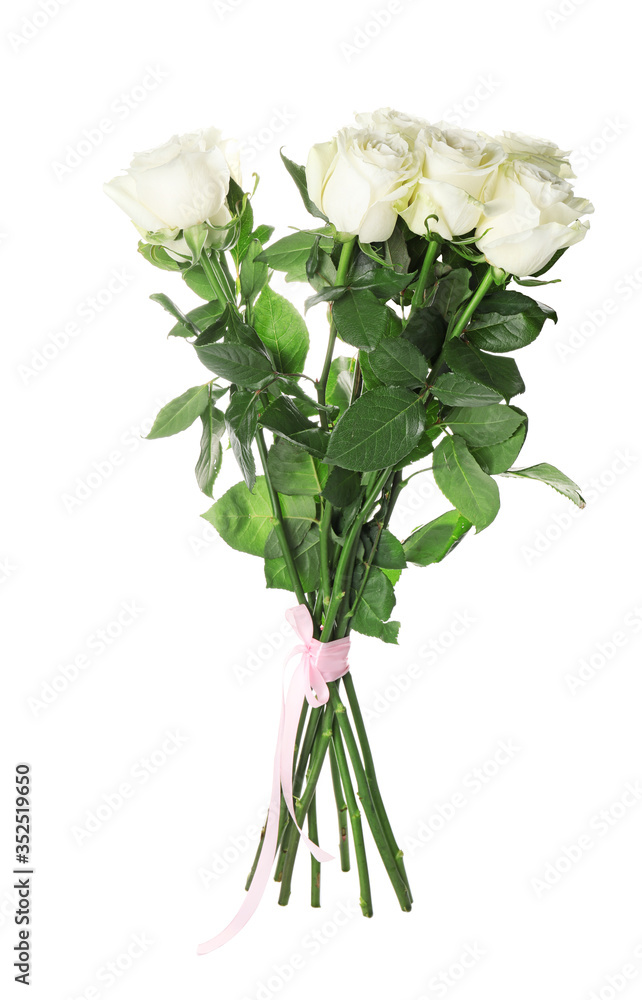 Beautiful roses on white background