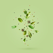 Creative Mockup With Flying Various Types Of Spices Bay Leaf, Red Pepper, Anise On Green Background With Copy Space.