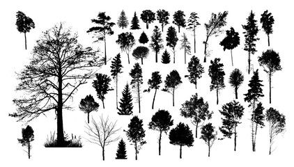 Wall Mural - A set of silhouettes of trees. Vector illustration