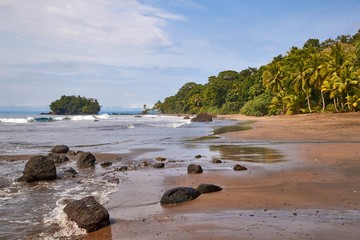 Palm trees and sandy beach on the Pacific Ocean shore in Choco, Colombia, near Nuqui