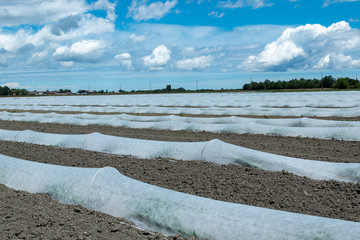 regional park delta del po river marshes and nature reserves