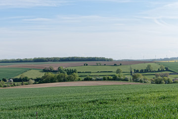 Champs et culture à perte de vue sur les valons de l'Artois, département du Pas-de-Calais - France 