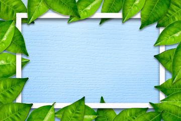 Wall Mural - Creative message concept with blank copy space decorated with green leaf