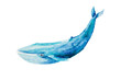 Watercolor drawing of blue whale isolated on the white background. Illustration of big whale.