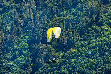 A man flying a green paraglider on a beautiful sunny day against the background of a dense forest.
