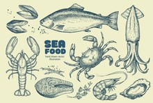 Sea Food. A Set Of Illustrations For The Design Of The Menu Of Restaurants, And Shop Windows Of Fish Shops.