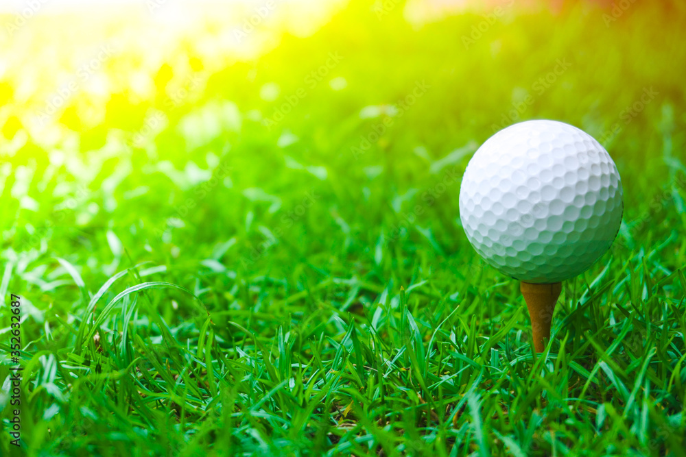 Green grass with golf ball close-up in soft focus at sunlight. Sport playground for golf club concept ,Golf ball on tee ready to be shot - obrazy, fototapety, plakaty 