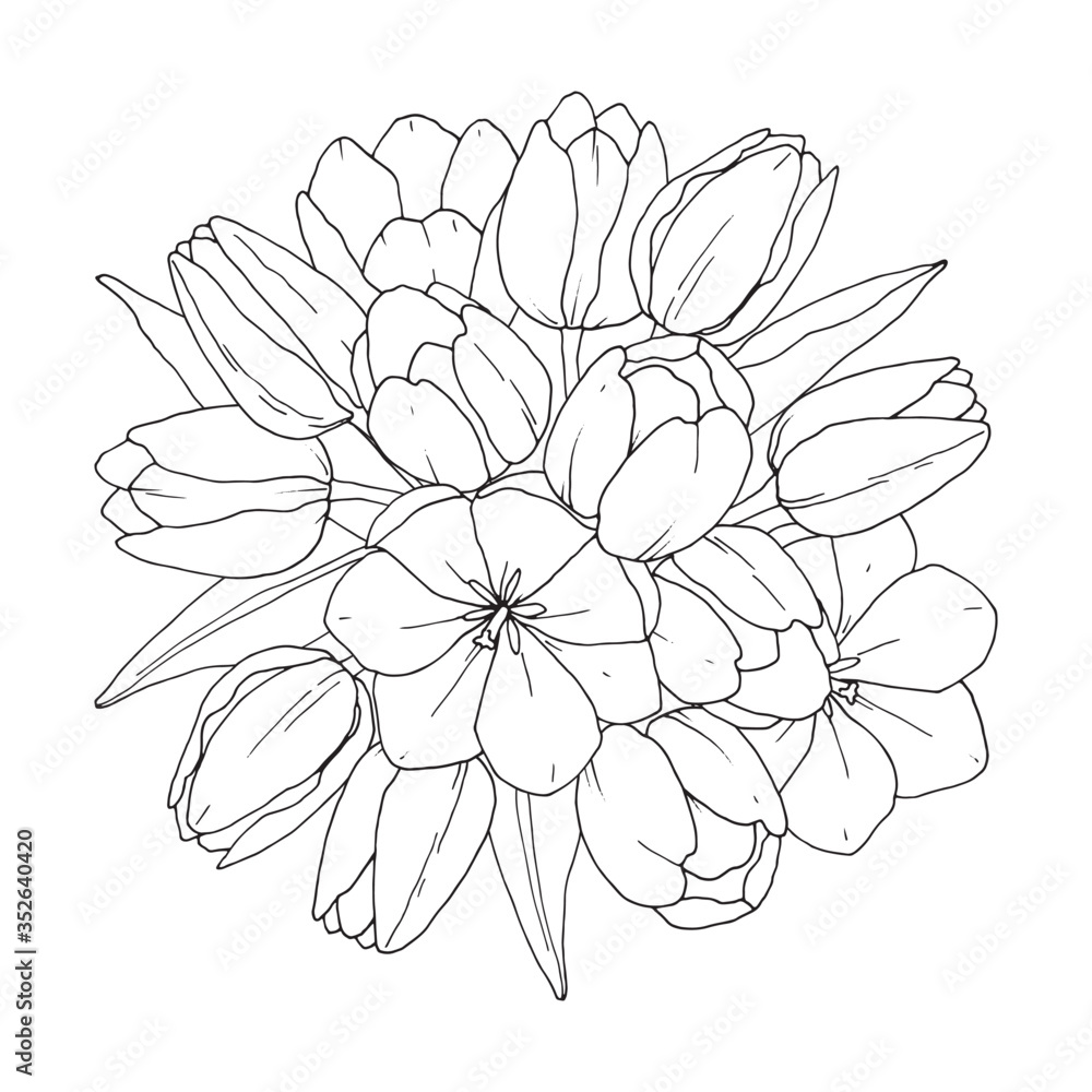 Tulips - Flower bouquet. Vector coloring book for adult – Flower ...