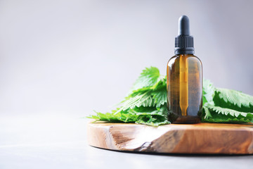 Wall Mural - Nettle essence oil in dark bottle and fresh nettle leaves on grey background. Medicinal herb for health and beauty, skin care and hair treatment