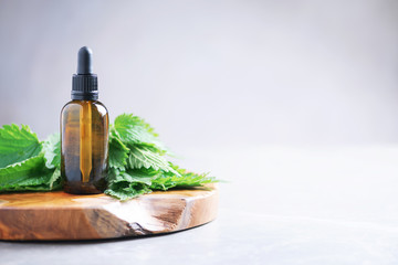 Nettle essence oil in dark bottle and fresh nettle leaves on grey background. Medicinal herb for health and beauty, skin care and hair treatment