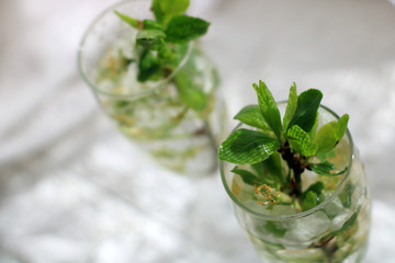 Two glasses with a cocktail. One glass in the foreground